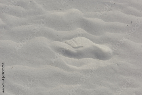 foot prints in the sand at Siesta Beach  Florida