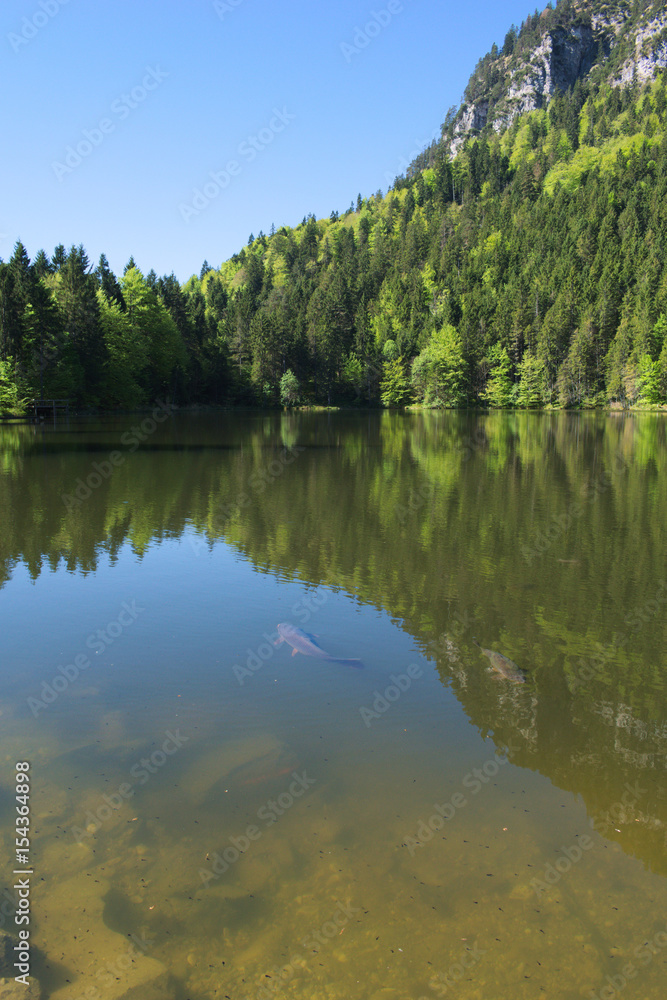 Lake Pflegersee Lake Pflegersee