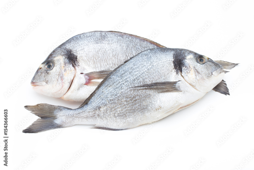 Fototapeta premium Fresh bream sea isolated on white background.