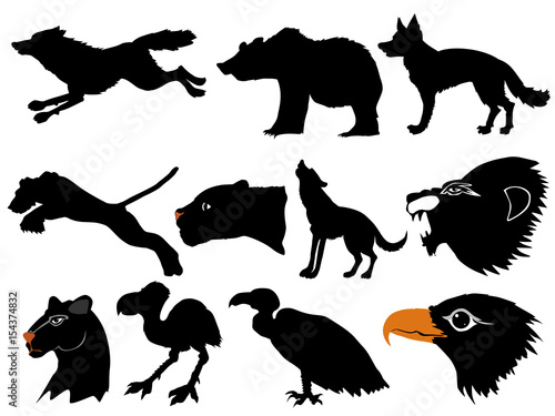 predators of wildlife