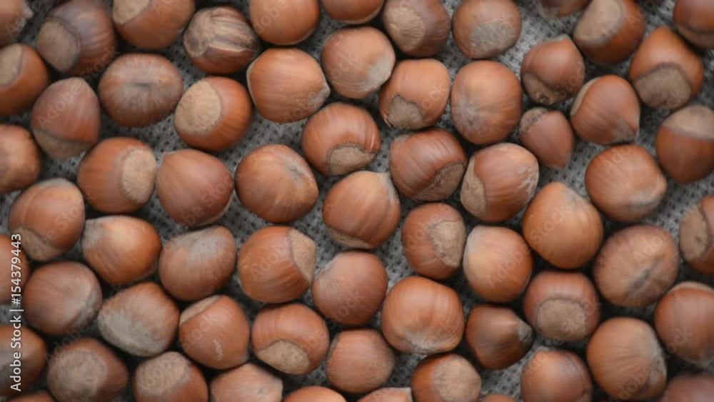 The nut hazelnut rotates on the turntable. The nut hazelnut rotates on the turntable.