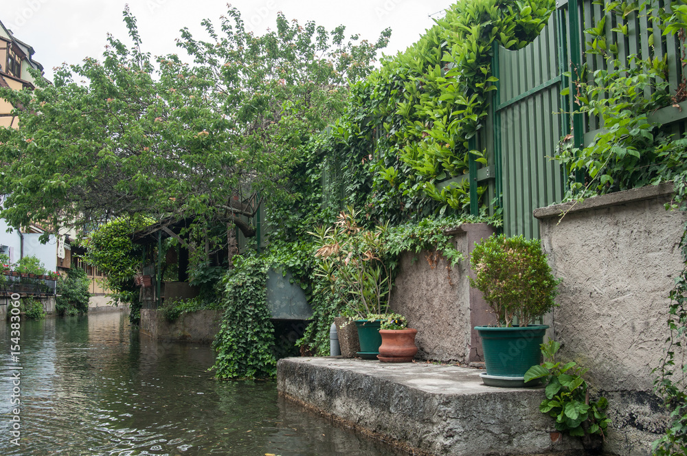 détail jardins au bord du canal à Colmar quartier de la petite Venise détail jardins au bord du canal à Colmar quartier de la petite Venise