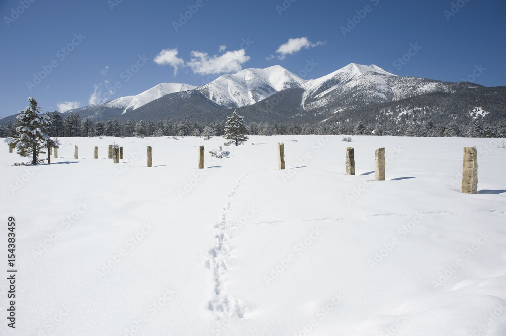 Fencing in Mount Princeton