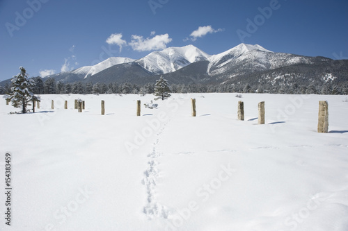 Fencing in Mount Princeton