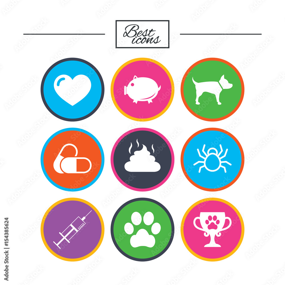 Veterinary, pets icons. Dog paw, syringe signs. Veterinary, pets icons. Dog paw, syringe signs.