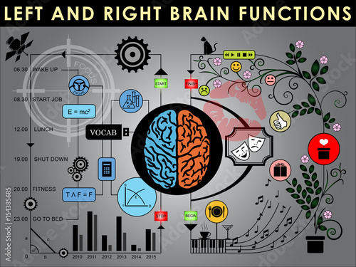 Left and right brain functions  Cerebral function. Vector and Illustration  EPS 10.
