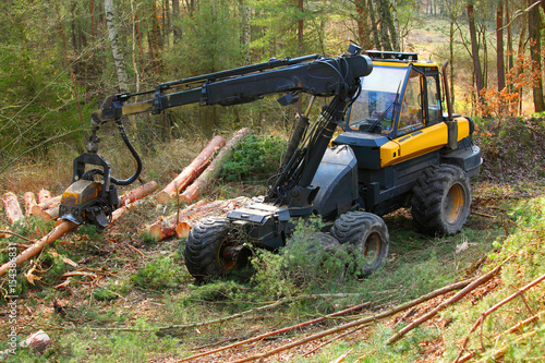 Lumberjack with modern harvester working in a forest. Wood as a source renewable energy.