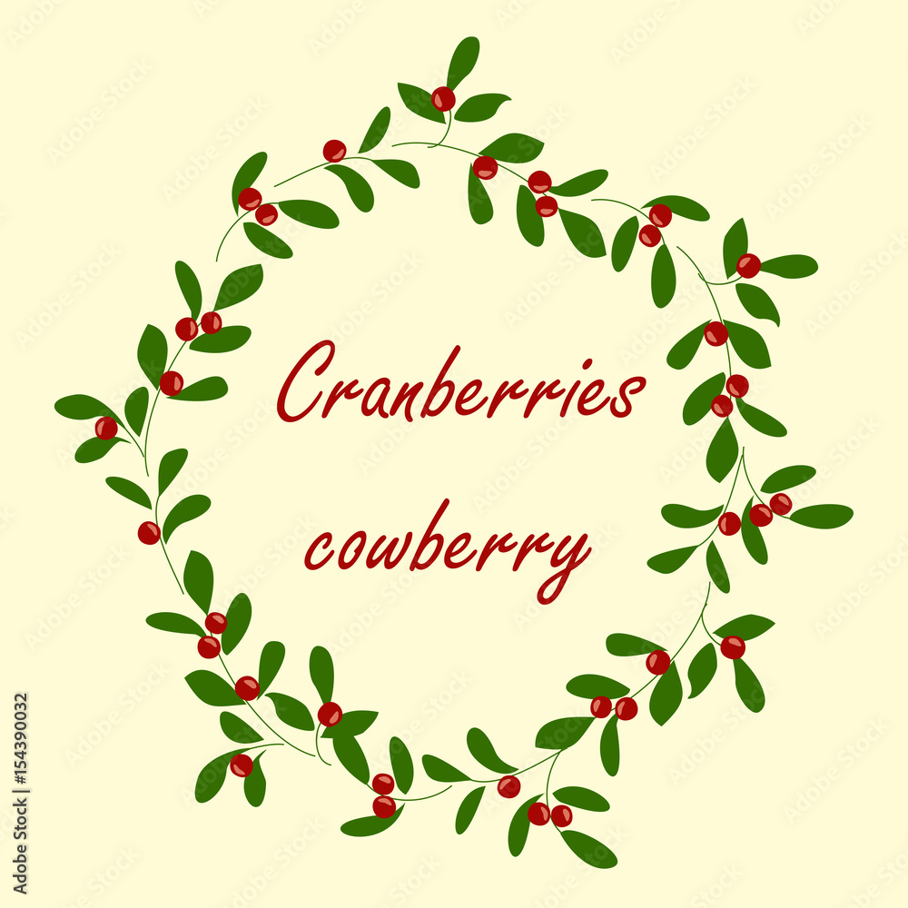 Background with cranberries. Vector background with branches, berries and leaves cranberries. Background with cranberries. Vector background with branches, berries and leaves cranberries.