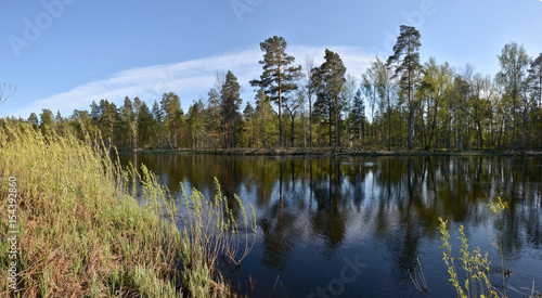 Panorama of the spring river.