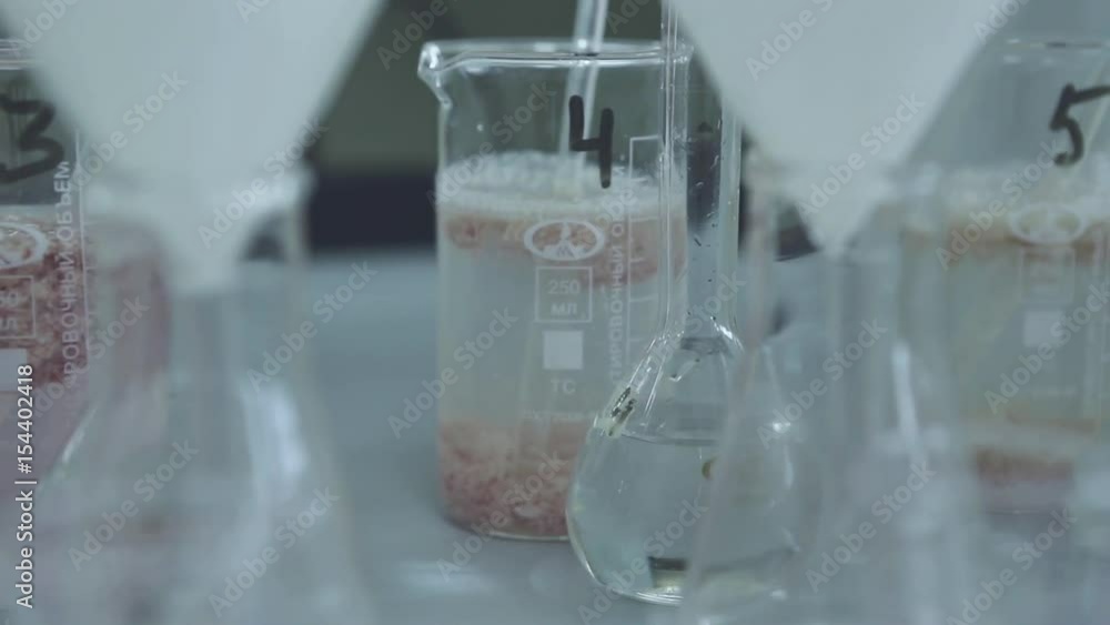 Inspecting raw meat in a modern laboratory.Close-up shot of raw meat examined in a laboratory. Medicine, healthcare and food production concept. Inspecting raw meat in a modern laboratory.Close-up shot of raw meat examined in a laboratory. Medicine, healthcare and food production concept.