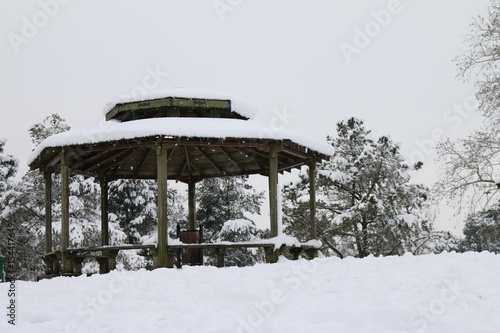 Wallpaper Mural nienose Torontodigital.ca