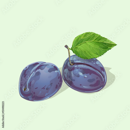 Vector plums with leaves
