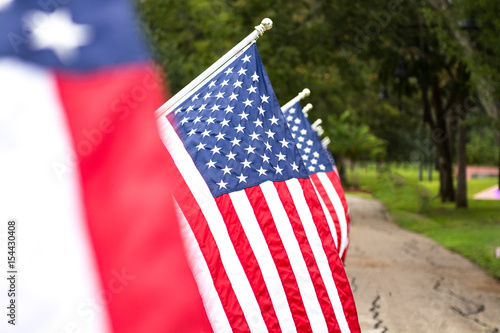 American Flags photo