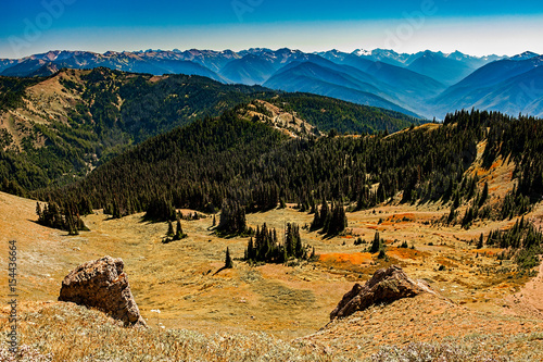 Hurricane Ridge