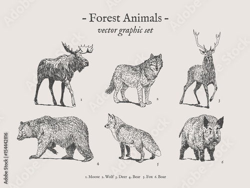 Forest animals drawings set on grey background with moose, wolf, deer, bear, fox Fototapet