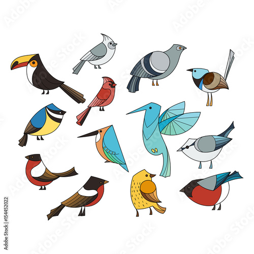 Birds set. Lined vector collextion. photo