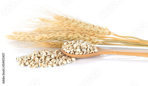 Barley grains isolated on white background.