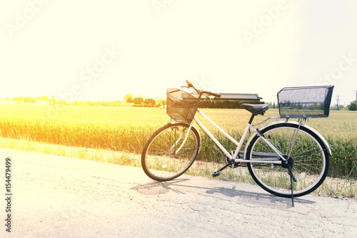 Bicycle  on the road and rice field