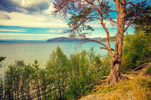 Fototapeta Naklejka Na Ścianę i Meble -  Mountain lake shore with the pine tree. Beautiful nature of Norway.