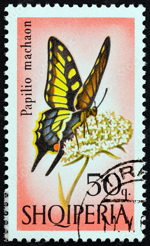 Swallowtail, Papilio machaon butterfly (Albania 1966)