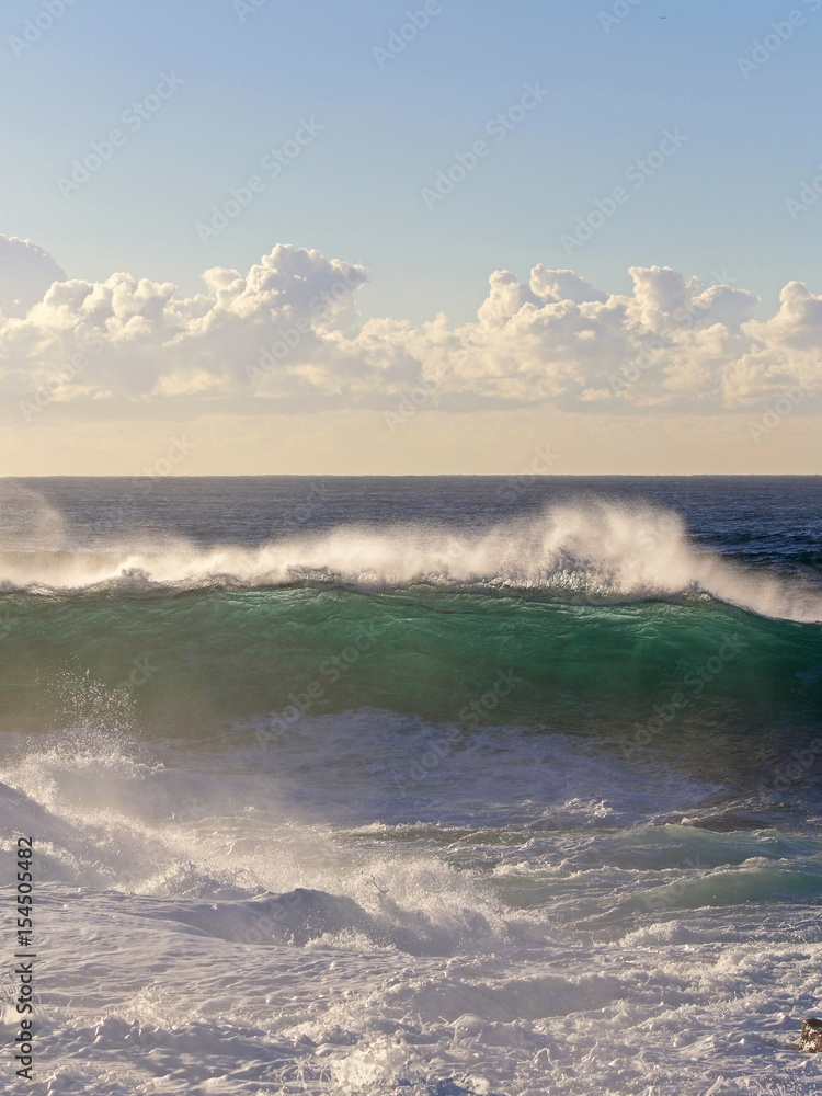 Ocean waves about to break in morning light.