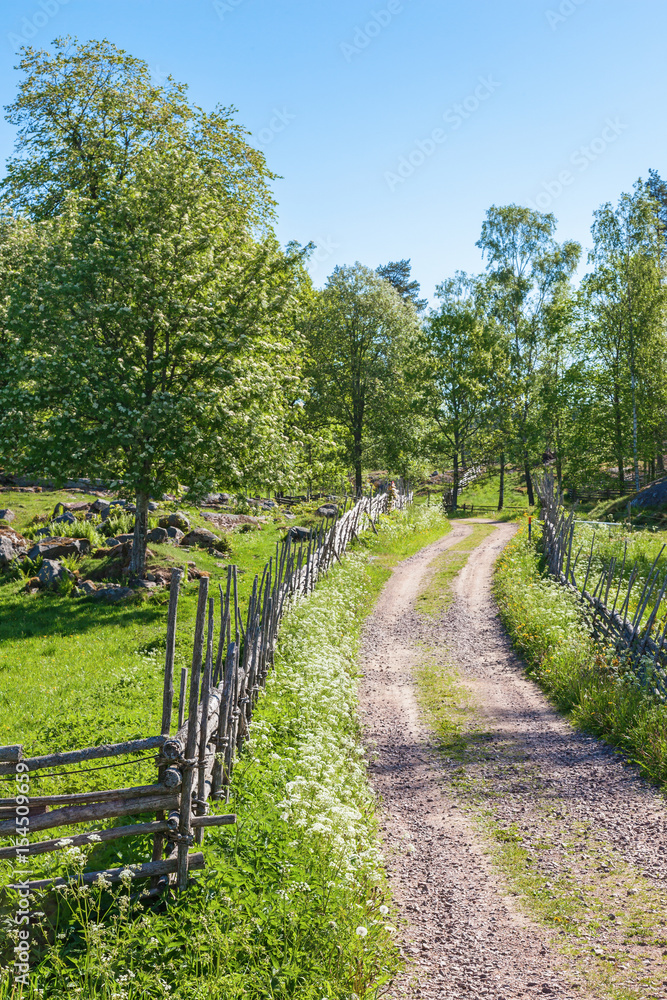 Rustic old dirt road in the countryside in summer