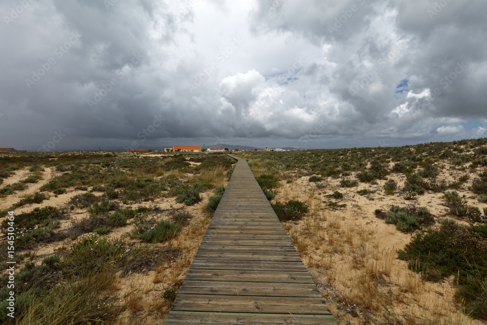 Pathway to the beach on Culatra Island in Ria Formosa, Portugal