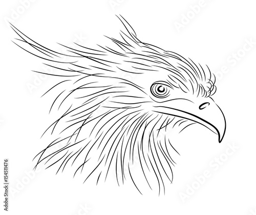 Sketch of bird.
