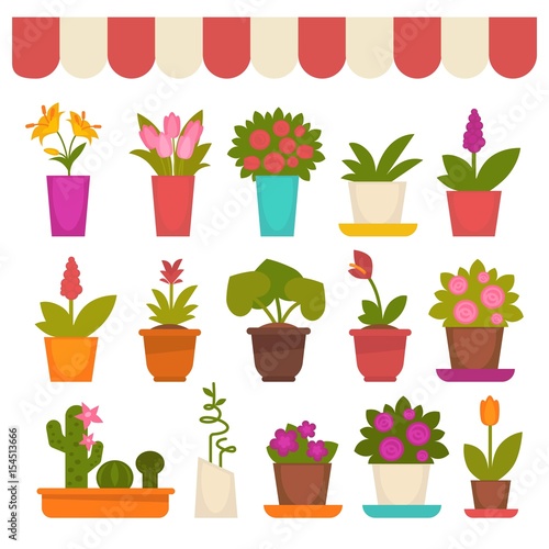Different flowers in shop