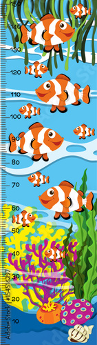 Measuring height scales on paper with clownfish in the sea