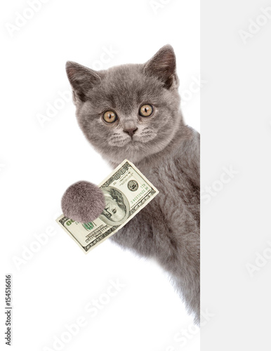 Kot wygląda zza pustej planszy i trzyma pieniądze. na białym tle