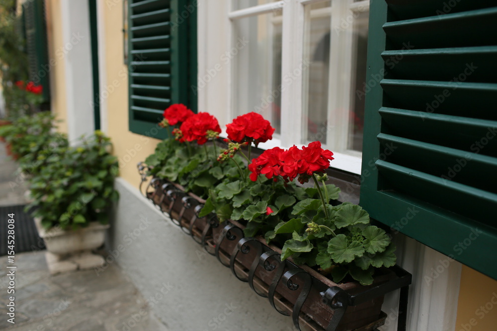 a typical austrian window with green louvered shuters and square paned windows with flowers in hanging flower pots