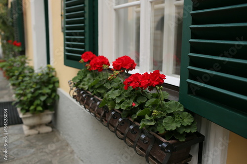 a typical austrian window with green louvered shuters and square paned windows with flowers in hanging flower pots