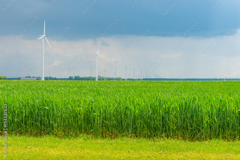 Wind turbines in a field in spring Wind turbines in a field in spring
