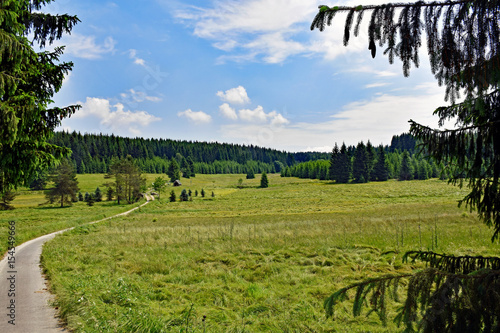 Romantic landscape in the Schwarzwassertal in the Erzgebirge in Saxony / Germany photo