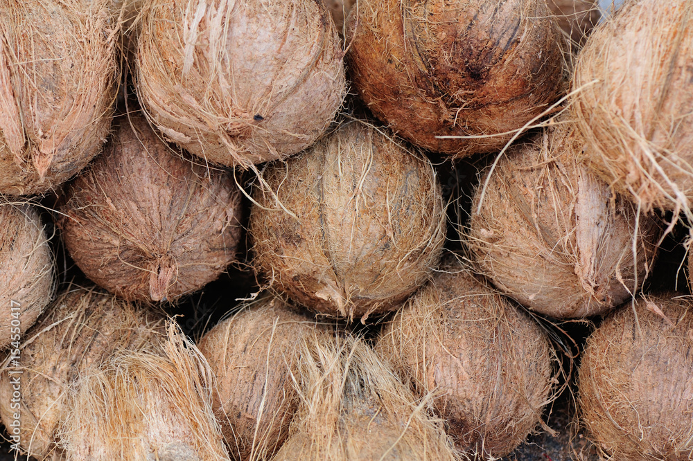 Coconut Coconut