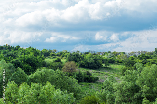 Trees near bushes growing on the slope under white clouds © Nikolay