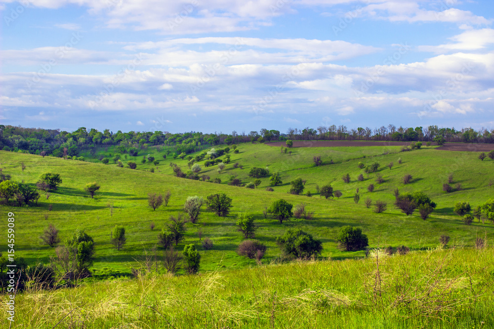 Bumpy Green steppe near with trees and blue sky