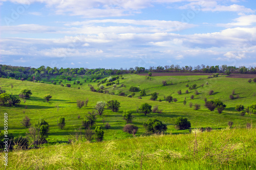 Bumpy Green steppe near with trees and blue sky