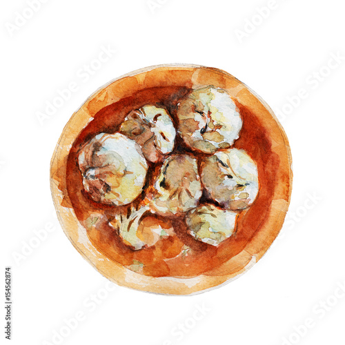 The national Tibetan dish momos isolated on white background, watercolor illustration in hand-drawn style.