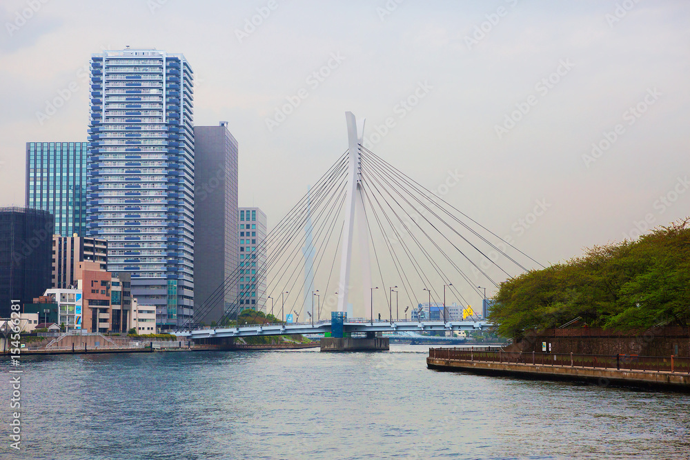 Токио. Вантовый мост через реку Сумида.
