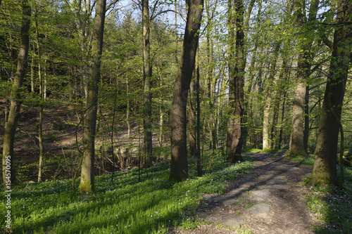 Sohland in der Oberlausitz