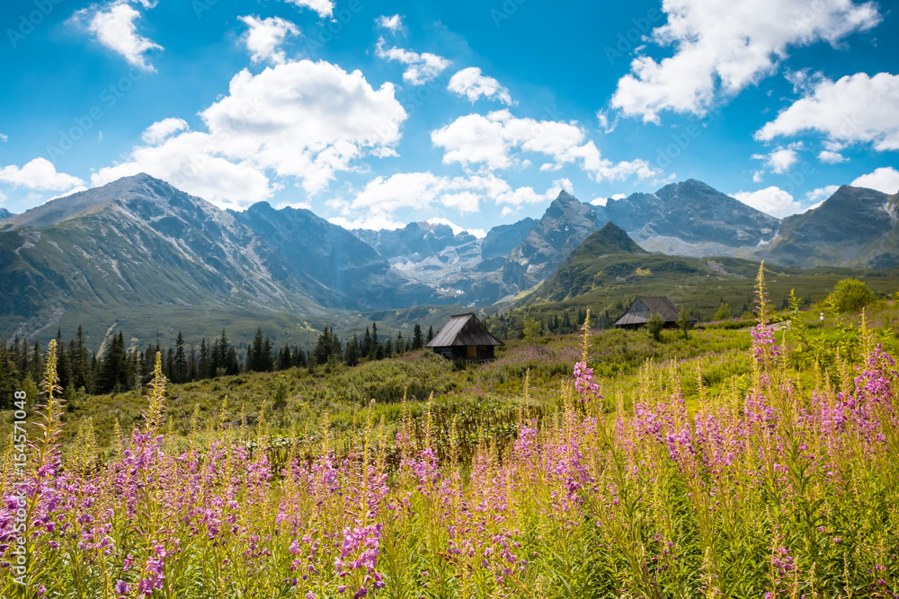 Obraz premium Hala Gasienicowa, Tatra mountains Zakopane Poland