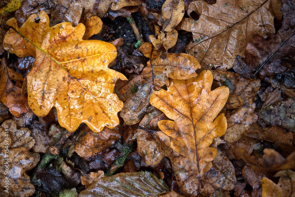 Herbstwetter