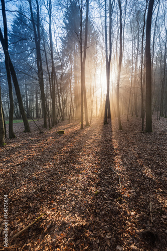 Sonnenaufgang im Nationalpark Kellerwald