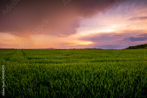 Red sunset over green field.