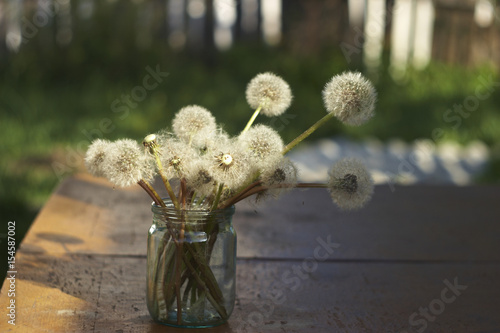 A bouquet of fluffy and yellow dandelions in the bank
