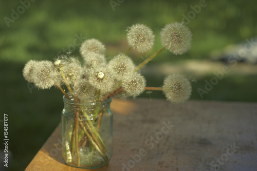 A bouquet of fluffy and yellow dandelions in the bank
