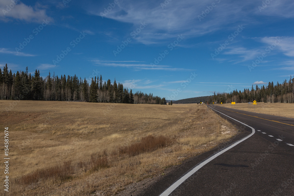 Naklejka premium Empty Highway Through Colorful Fall Countryside in Arizona