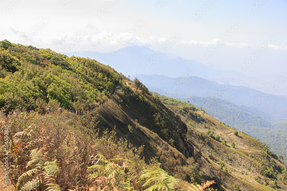 Obraz premium View of guided nature trail which has some group of tourist at Kio Mae Pan, Doi Inthanon National Park, Chiang Mai, Thailand 